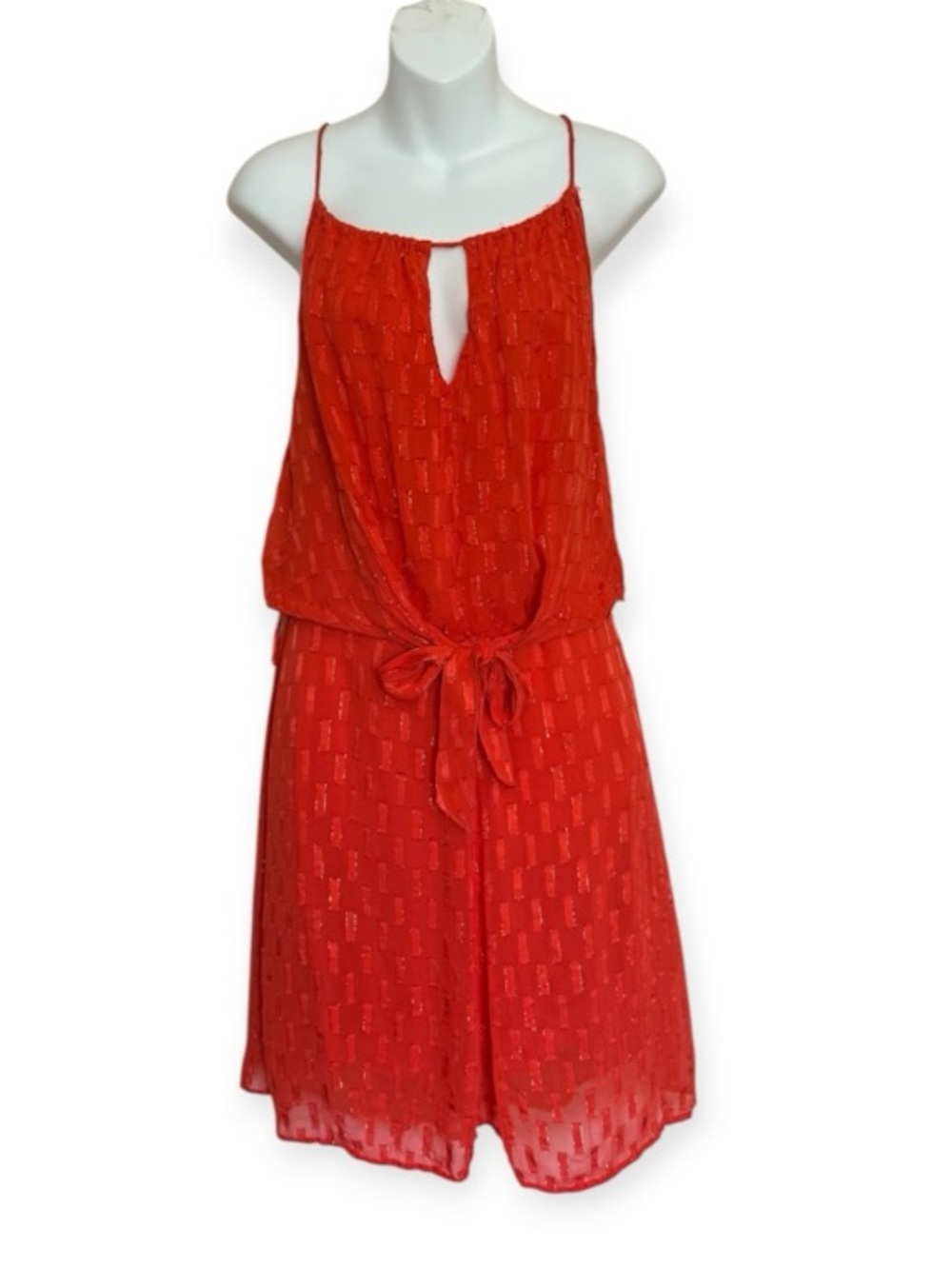 NWT GLADIOLUS METALLIC SLIP TIE FRONT MINI DRESS Size Small
